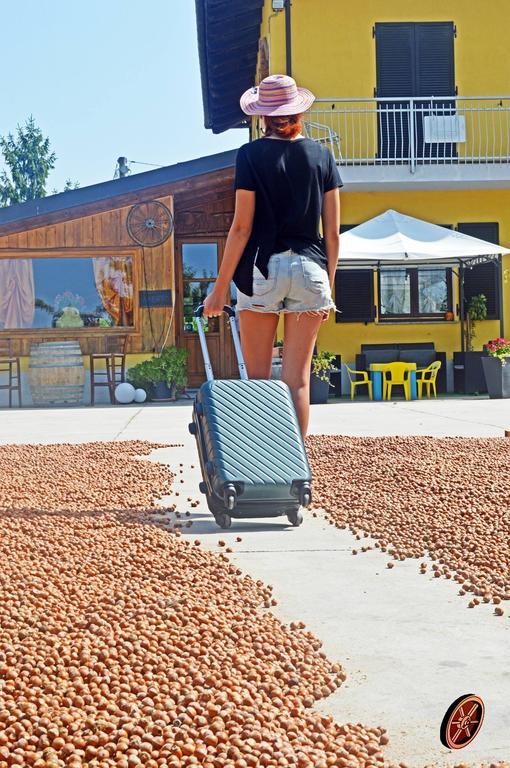 Agriturismo La Ruota モンテルーポ・アルベーゼ エクステリア 写真